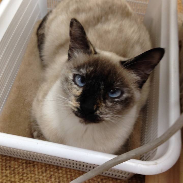 Ef7b714b ff37 4f86 88a4 8776a23614a6