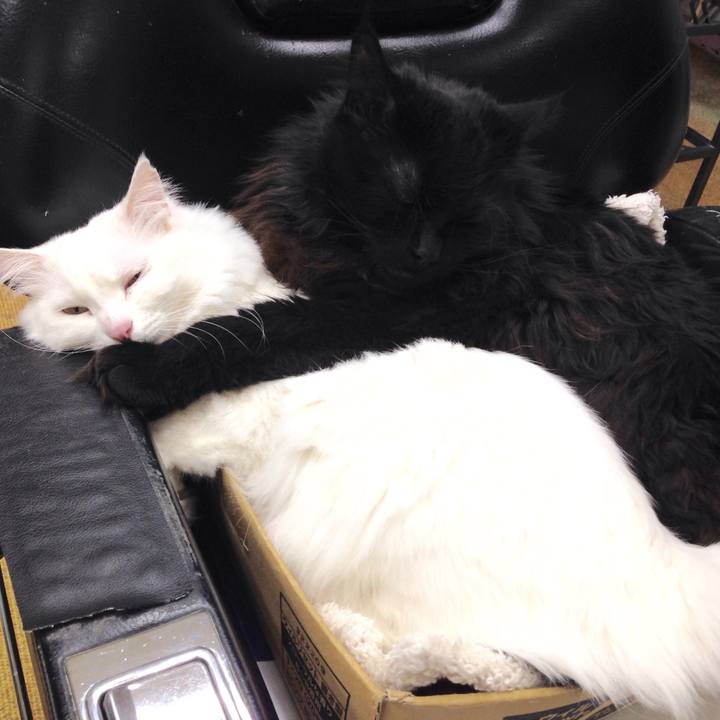 Ef7b7400 4ce6 43b2 b58d cd7ea045f30d