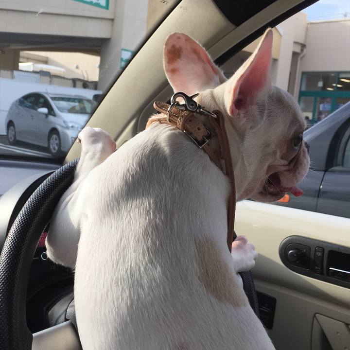 Ef7b7790 7a78 49cd 988a b91fd8f8db77