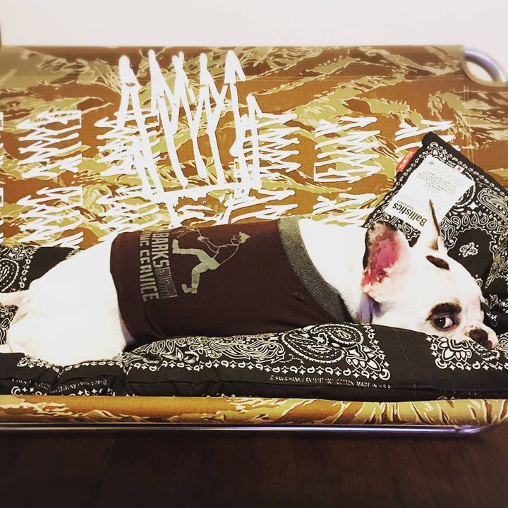 Ef7baf80 9bb4 433f 99e0 21138bd39c51