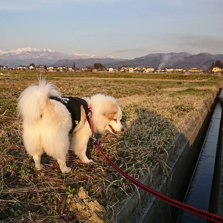 Ef7be6c6 0fb3 4e52 b782 2f37a86b10eb