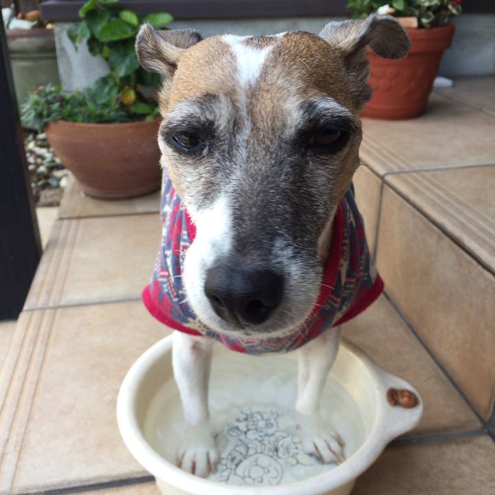 Ef7c36c9 5cf8 4b35 a2d3 d0b9b970ab42