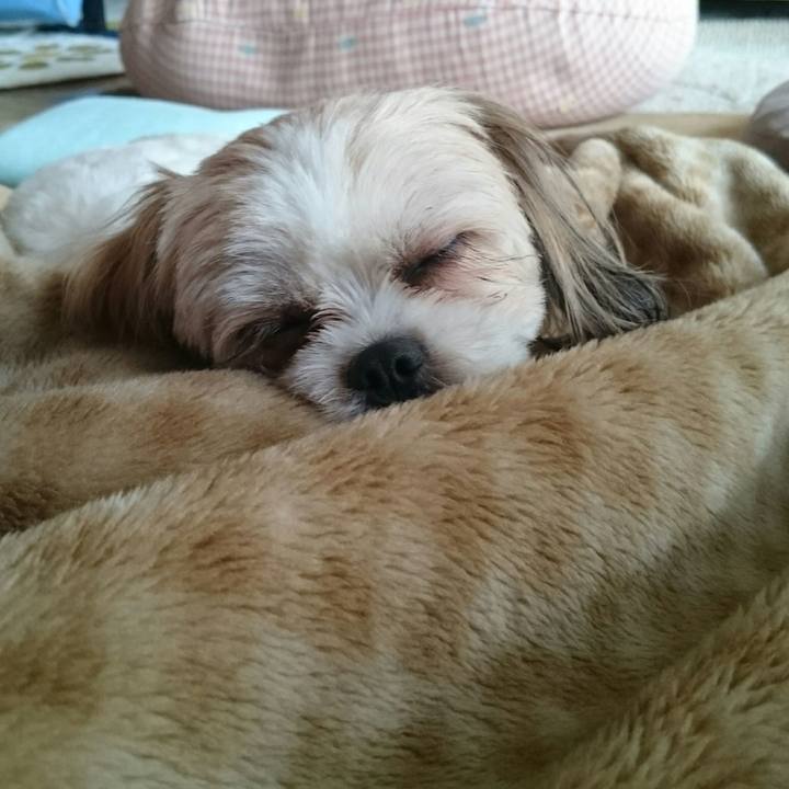 Ef7d1b98 5a07 4d6a 93b4 e6ea4adb36f5