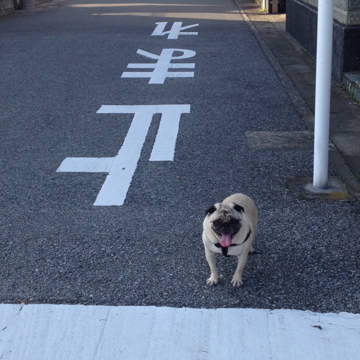 Ef7d9c19 b680 43c0 9d97 504a1a142b76