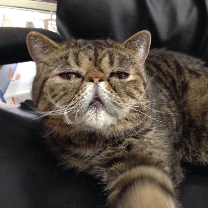 Ef7db76d 6acb 4dcd b66e 9de44245b2b6