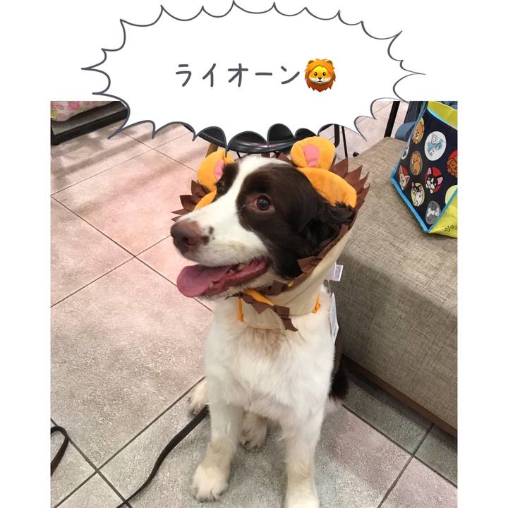 Ef7dce50 ed65 4456 be55 973a73442801