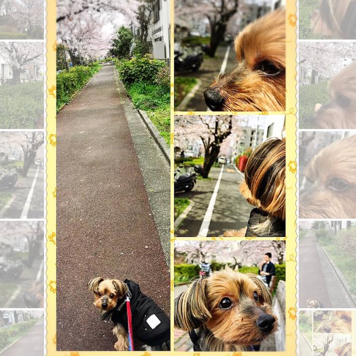 Ef7e78a0 2abb 454d bae1 45b836a3d462