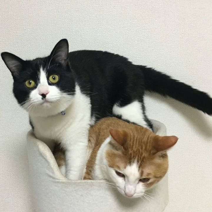 Ef7e7d3d cb24 4c43 8ec0 582f8b52e66f