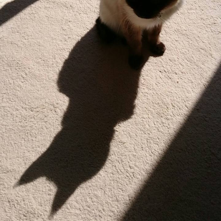 Ef7ea102 af8b 4c8c beba c048eac22ace