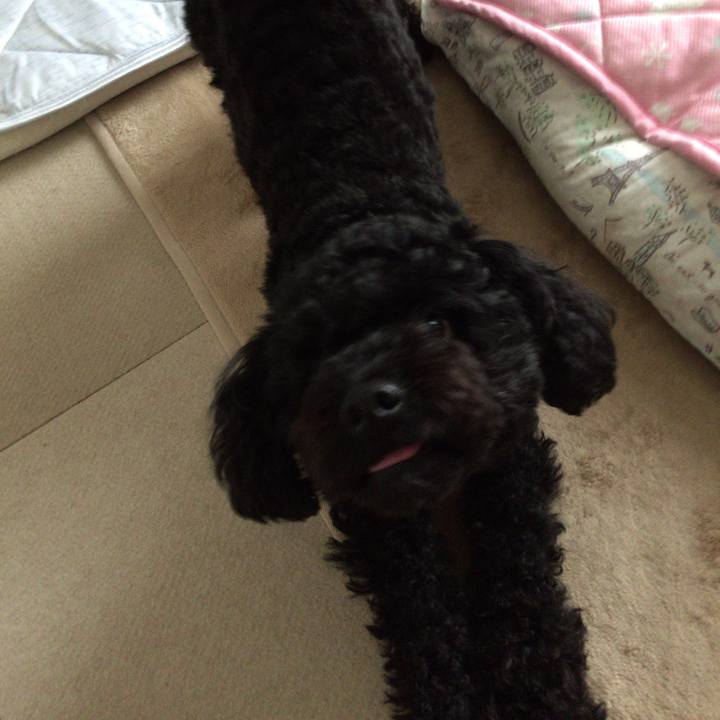 Ef7eadee fdc0 4a41 bddf 51e5c6afec00