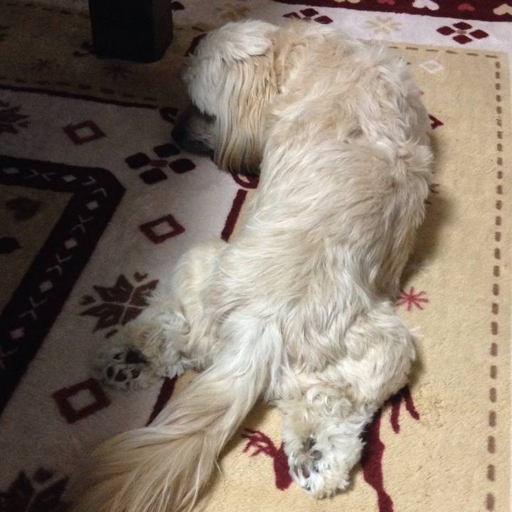 Ef7f28ab 91cb 441c b55b 59d54114f673