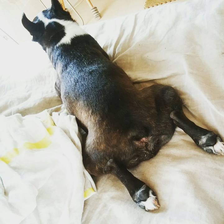 Ef7f64e2 0edf 41b8 a71f 4b0a1a775f7d