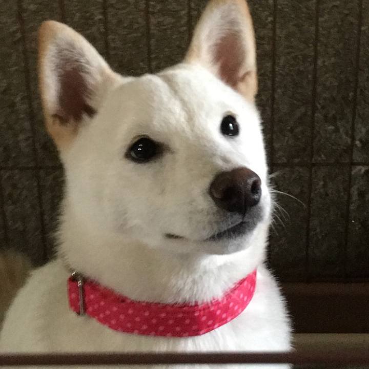 Ef7f6ac9 a74a 40bc 88c6 e29ecbdee0fb