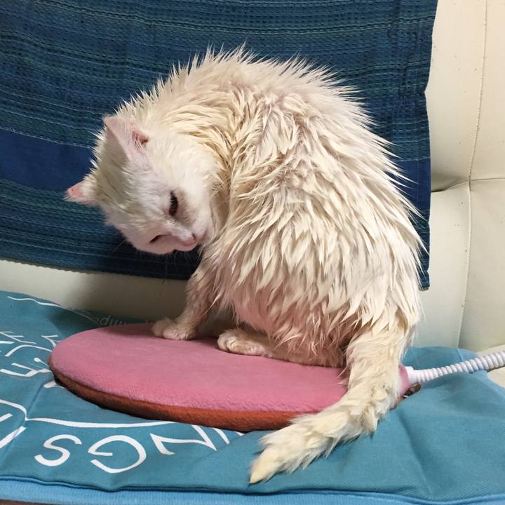 Ef7f8dcb 4e3c 4fca 9df1 8dcc0a39ecd3