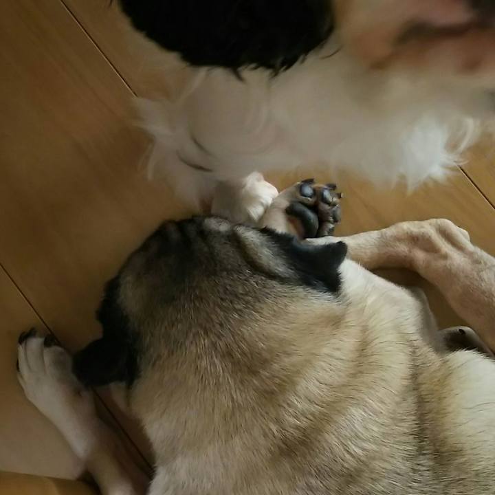 Ef7ff1ea e160 4a64 a6f6 84f5b7dcc588