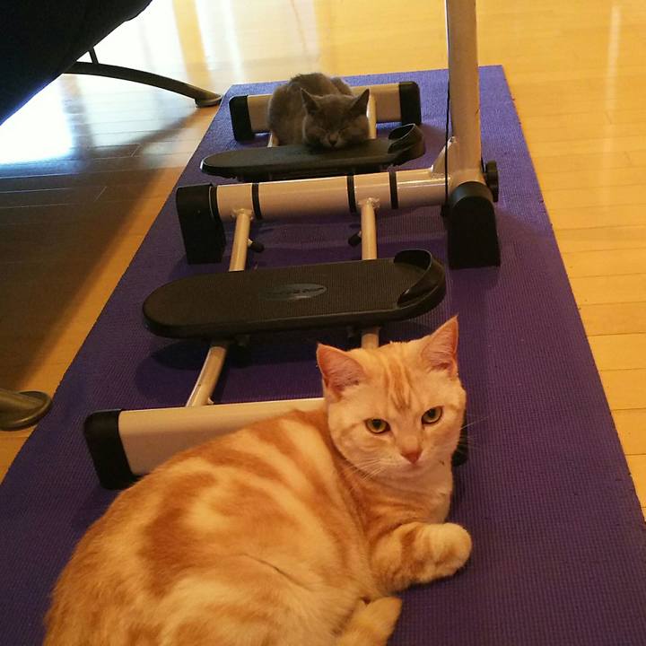 Ef81077b 6251 45cd baf0 d2b29a334a4d