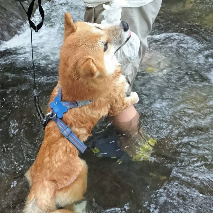 Ef811b8e a61a 4145 a88e c1a9c19dfcbd