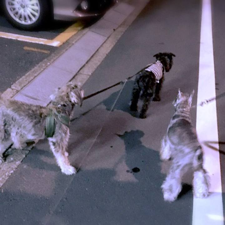 Ef812fb0 eb6e 4c14 aeb3 5d3a78666b95