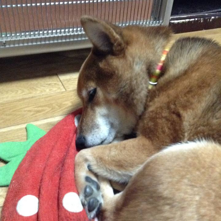 Ef81bfd6 c80c 45f3 8f14 7ea2c02a36df