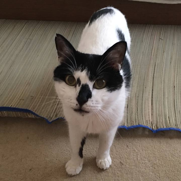 Ef81cbe5 7d21 4a1b a995 def27ccb35bd