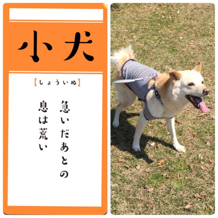 Ef820712 216d 474f 8b70 576ff7febf49