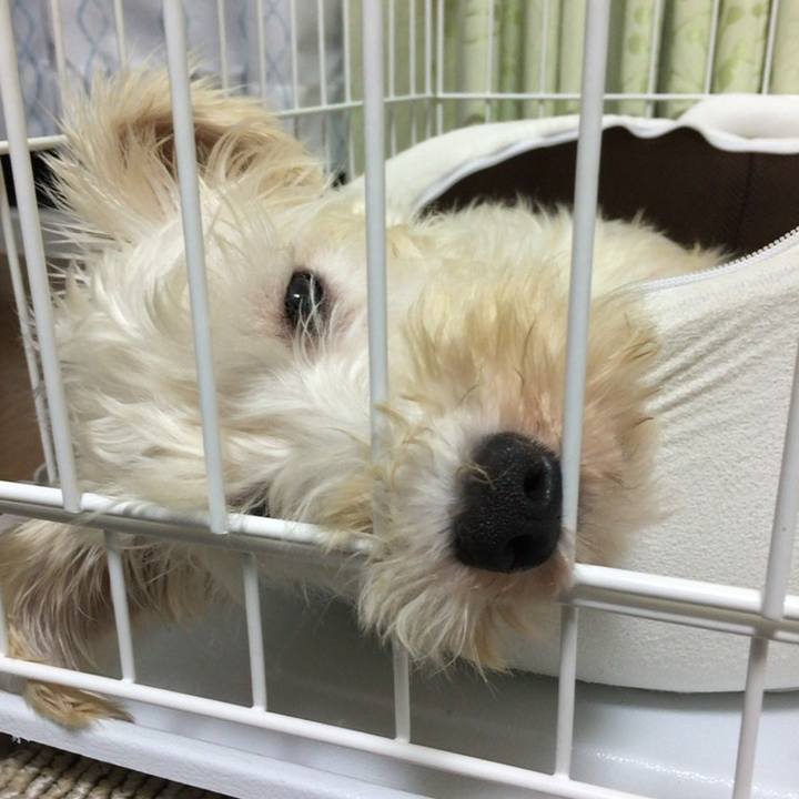 Ef828dab 0ed0 4d78 b596 0837a4062167