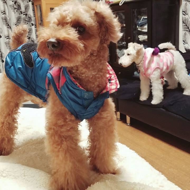 Ef82a394 5740 4769 858f c6d8eca07fbc