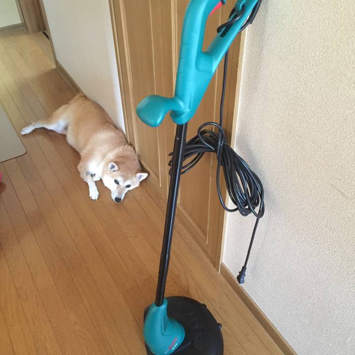 Ef8325b6 c626 4c57 884d 6b339ddeef06