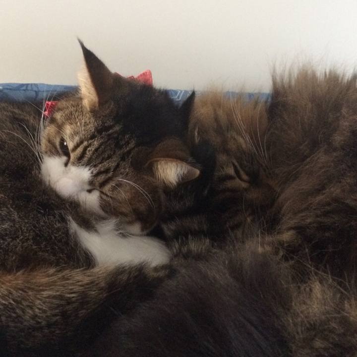 Ef83e0fb c50e 47d3 bd8d dc3d21b684ed