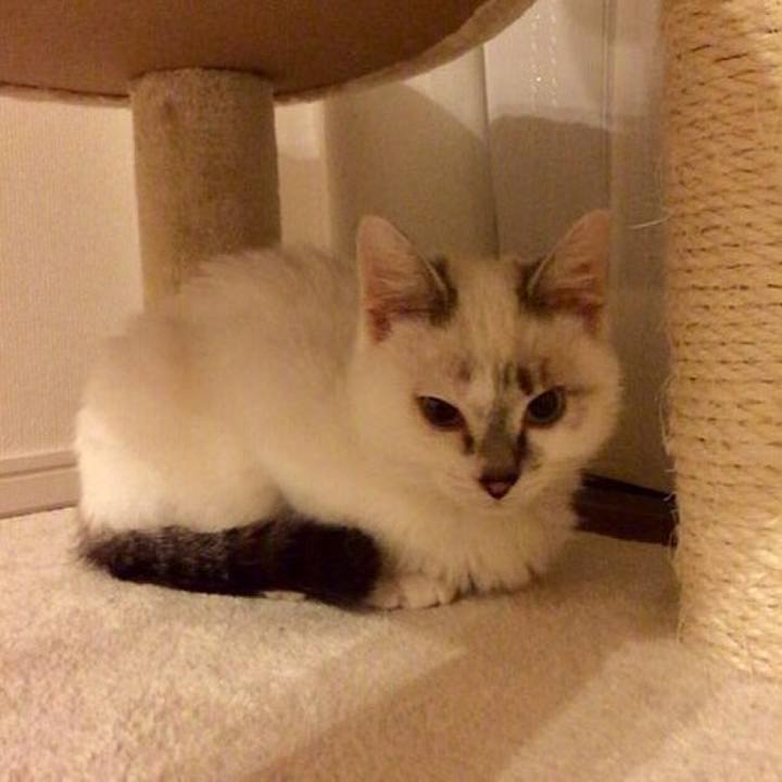 Ef84d075 641e 4374 9ee2 8b161ff47857