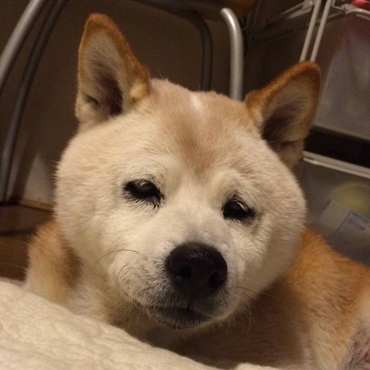 Ef85260a 84b0 4bdd b25f a247a28caedf