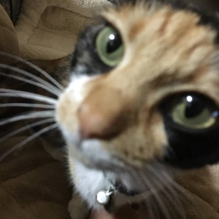 Ef858220 d3cc 4cdf 86e7 2d7307bec384