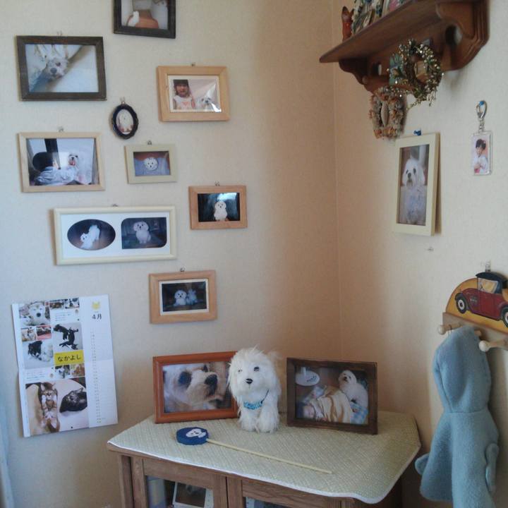 Ef8599eb f15e 458e 85bc bdfe0886b8f7