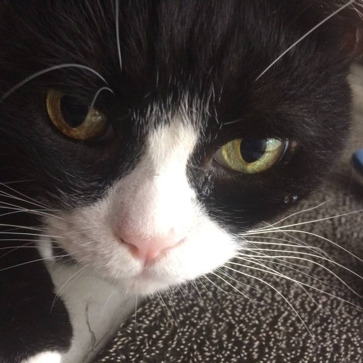 Ef8653b2 cc7d 47fe 8fdf 84e57f689677