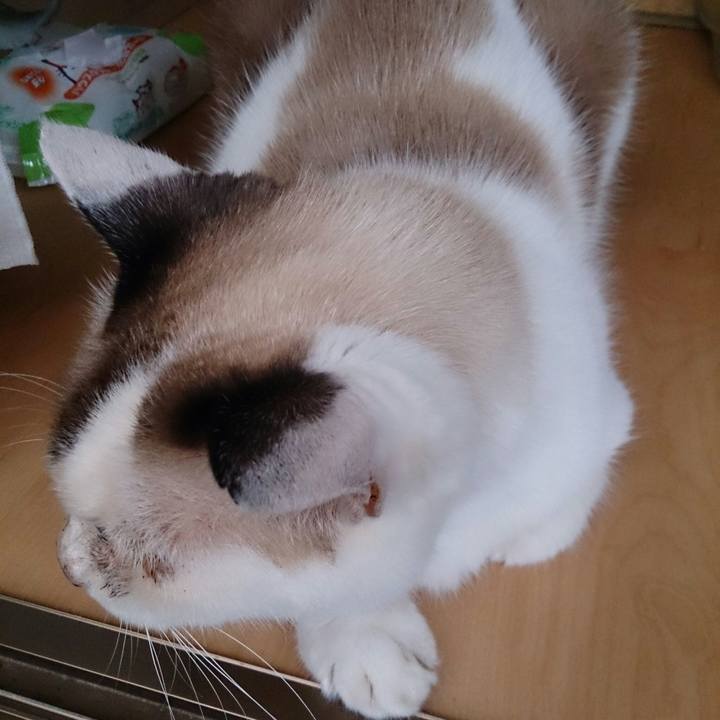 Ef867c11 00f7 4401 8bc8 dd36204fede5