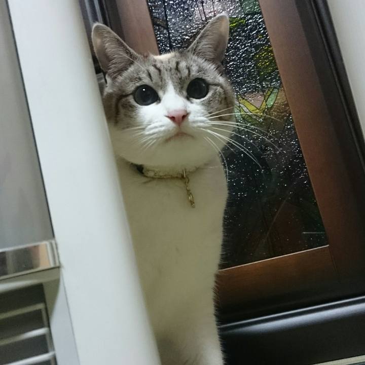 Ef86efad edef 4359 bcc7 120efc26172f