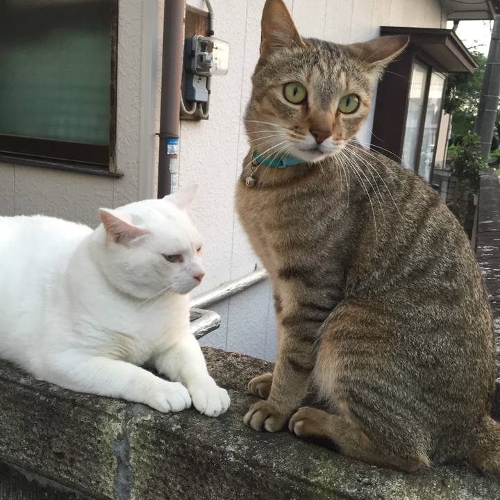 Ef872b47 1566 49e9 b75d 08f45124b80b