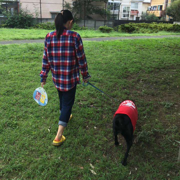 Ef87d9d0 427f 4552 b69a ac483a594958