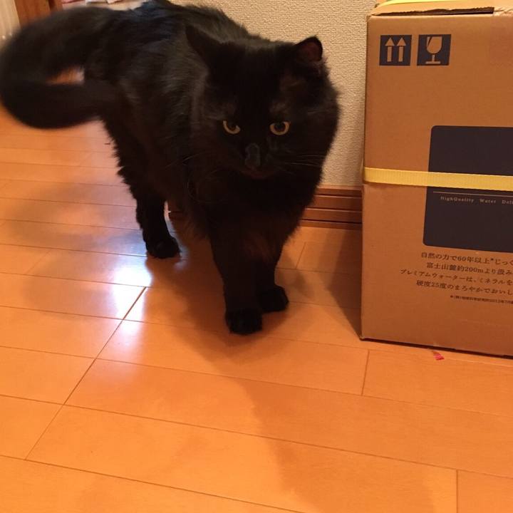 Ef882004 051d 48f4 832b afdf2d0bc0c3