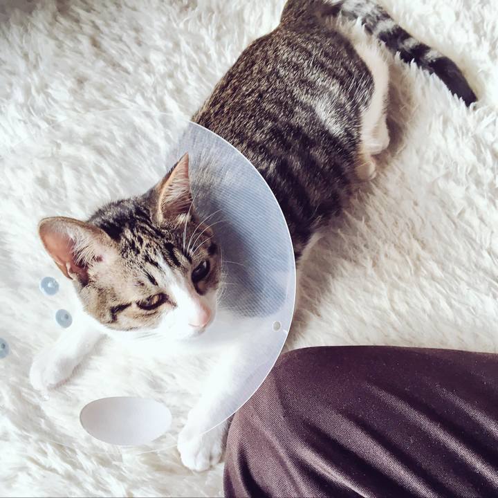 Ef882d57 d901 4a3b 803e 306697672f68