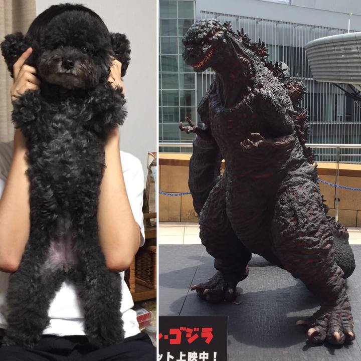 Ef884d94 64eb 42e5 81b2 898388367297