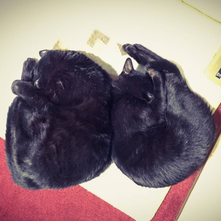 Ef885daf 3bd2 4810 9117 badf4b0e26e6