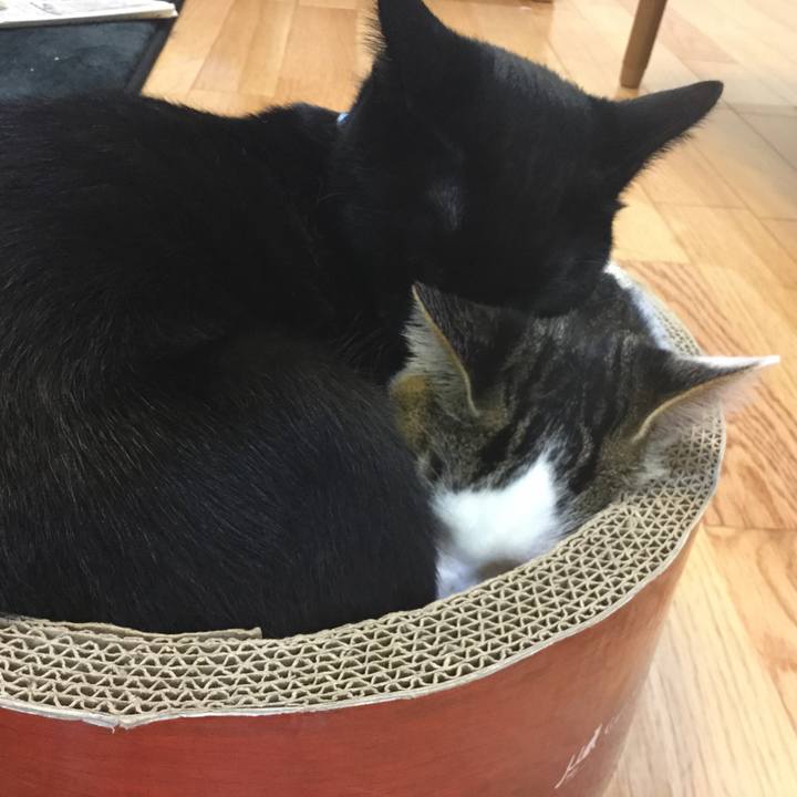 Ef890be9 d3b5 44fa a7eb 8b37d61b8add