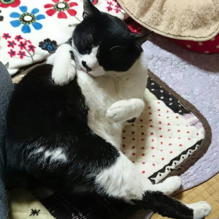 Ef8923ed 5103 4fda 85f9 5e97ed97c571