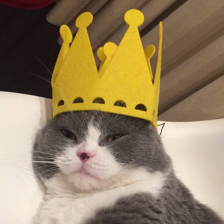 Ef8a2e95 e75e 48d4 be41 87107e8b3e7b