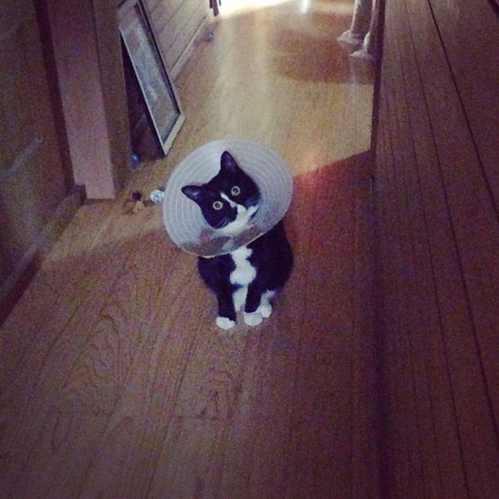 Ef8a46fe 5a7f 47e7 9f45 1f83d6748e02