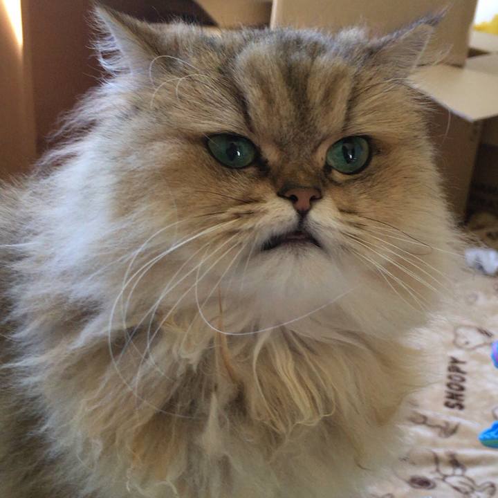 Ef8a82d1 c86d 4f0b a266 c8e3c8f105e0