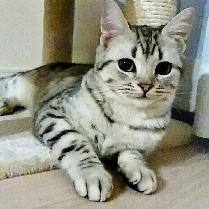 Ef8aadfe 87ae 4ed3 8fd6 c179e300109c