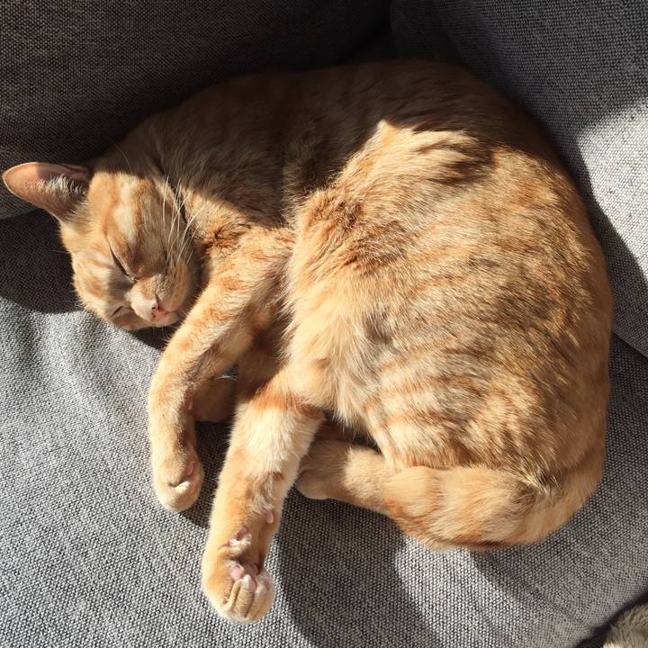 Ef8b5f2e 41f4 49df 957c c765fe6554b7