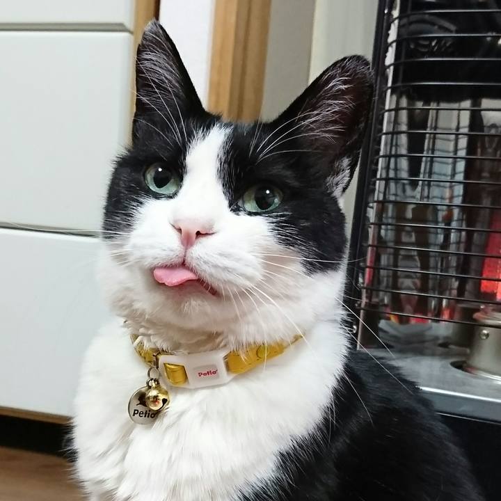 Ef8b743a 2052 4315 8a62 7c642aab016a